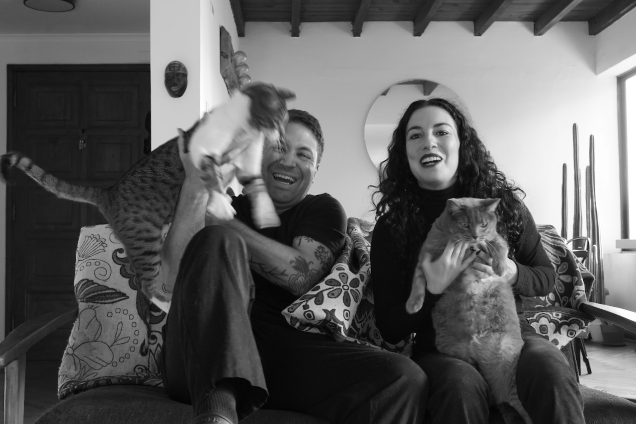 Foto gatitos